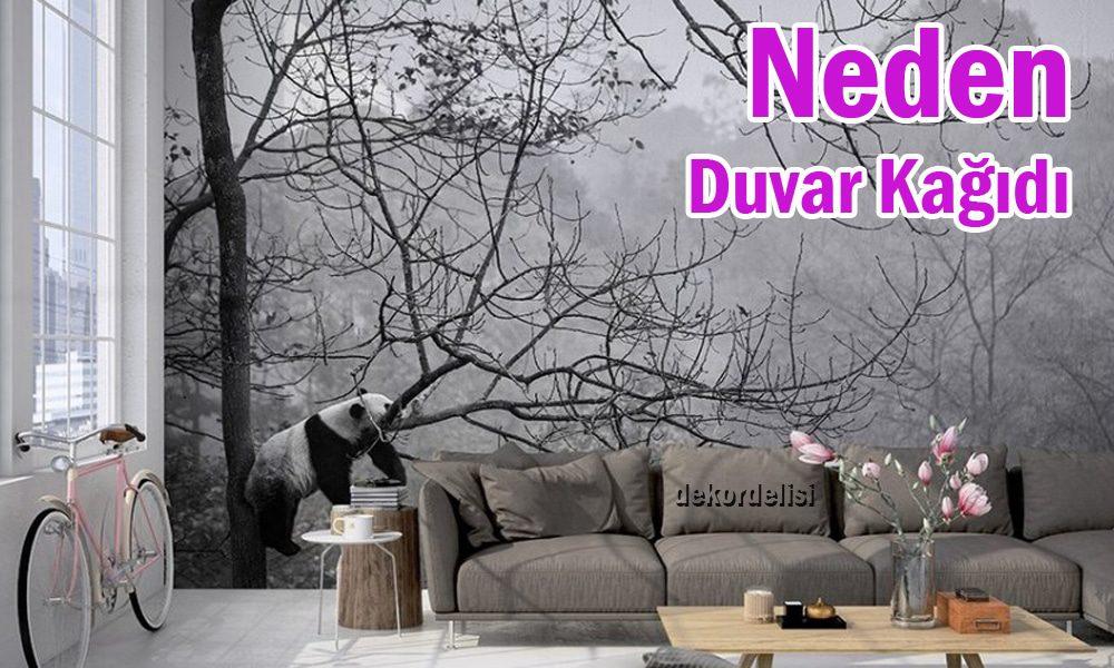 Eski Ev Yeni Bir Nefes Aldı: Komple Duvar Kağıdı Değişimiyle Gelen Ferahlık (Müşteri Deneyimi)