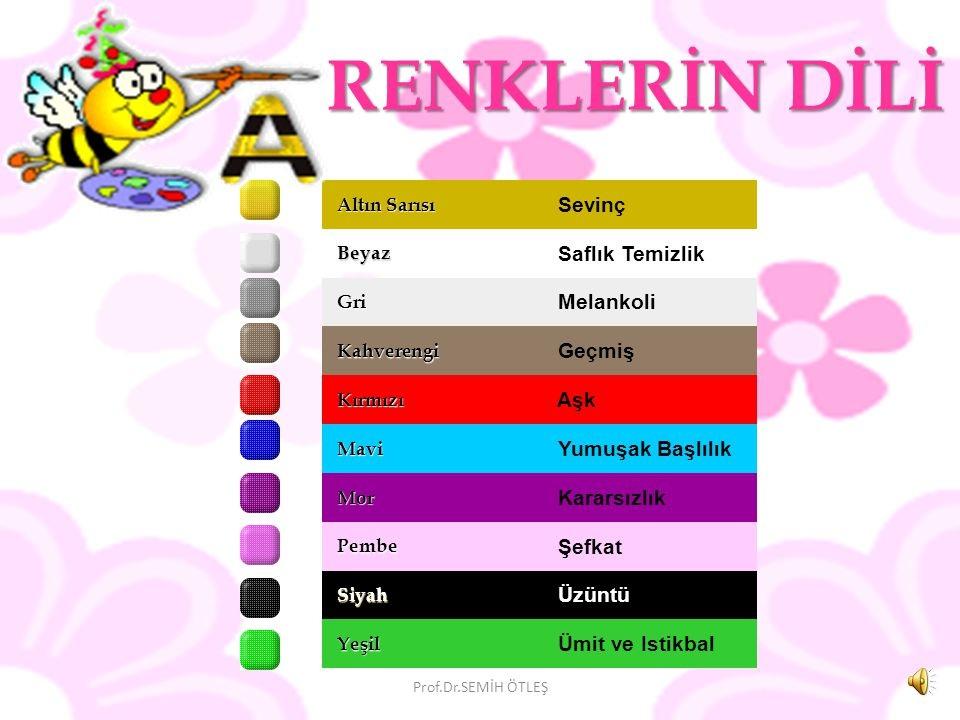 Pastel Renklerin Psikolojik Etkileri ve Ruh Haline Katkıları