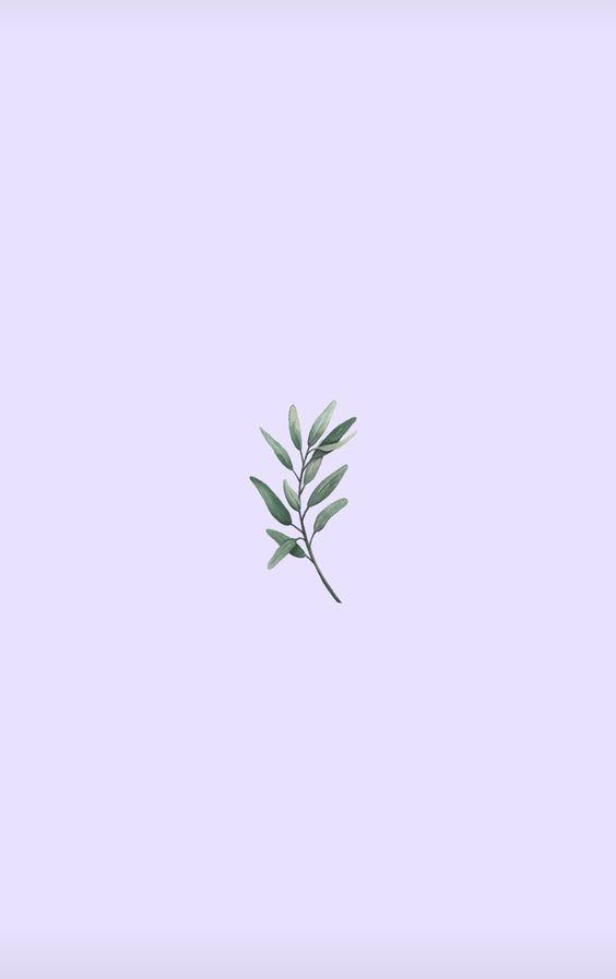 Evde Minimalist Atmosfer Yaratmak İçin Pratik Duvar Kağıdı Önerileri