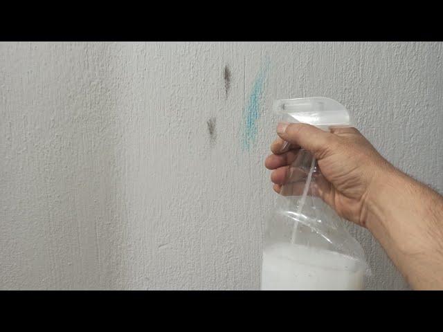 Evde Kolayca Uygulanabilir Pratik İpuçlarıyla Temiz ve Canlı Duvar Kağıtları