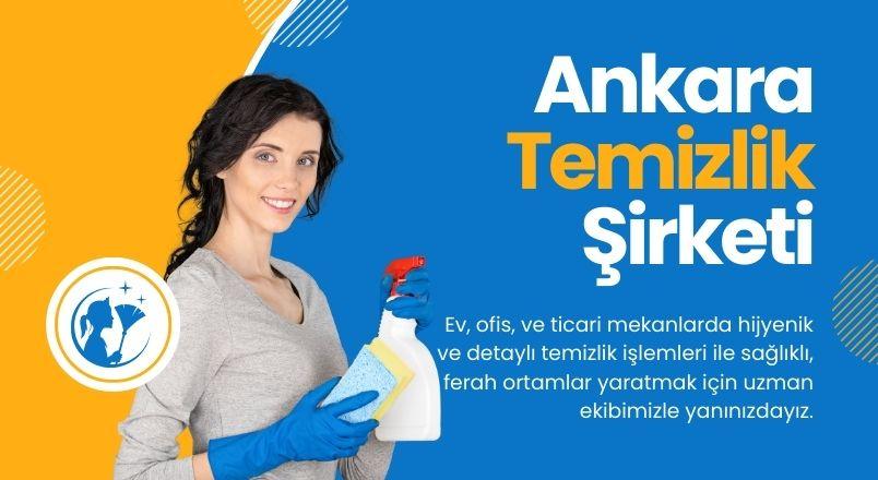 Duvar Kağıdı Bakımında Kimyasal Temizleyicilerin Riskleri