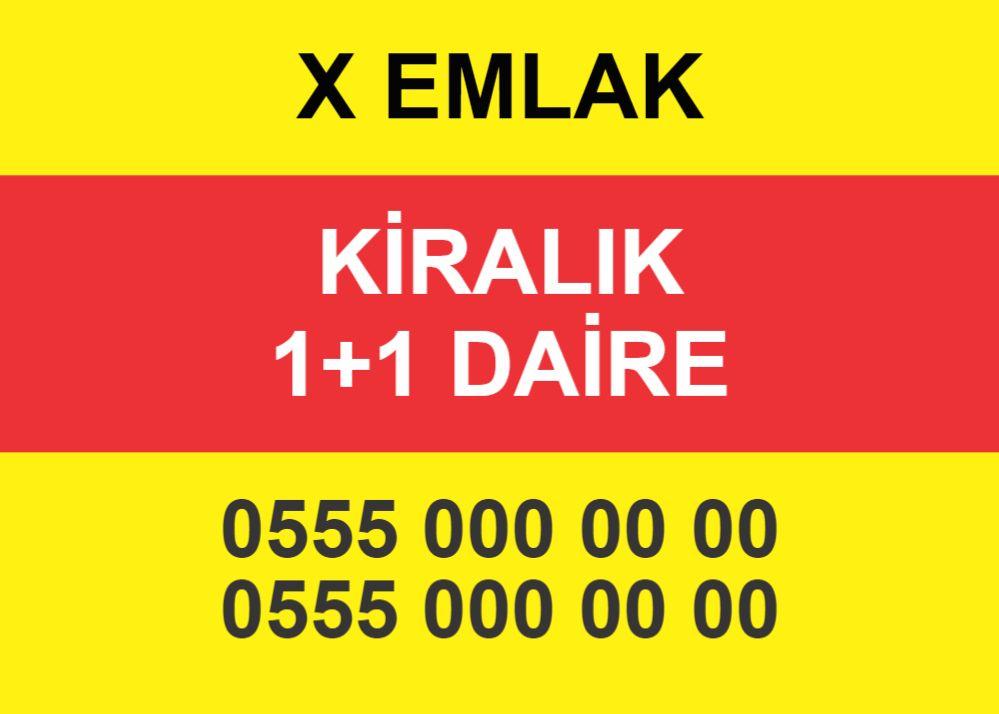 Kiralık Evlerde Alan Verimliliğini Artıracak Poster Tasarımları